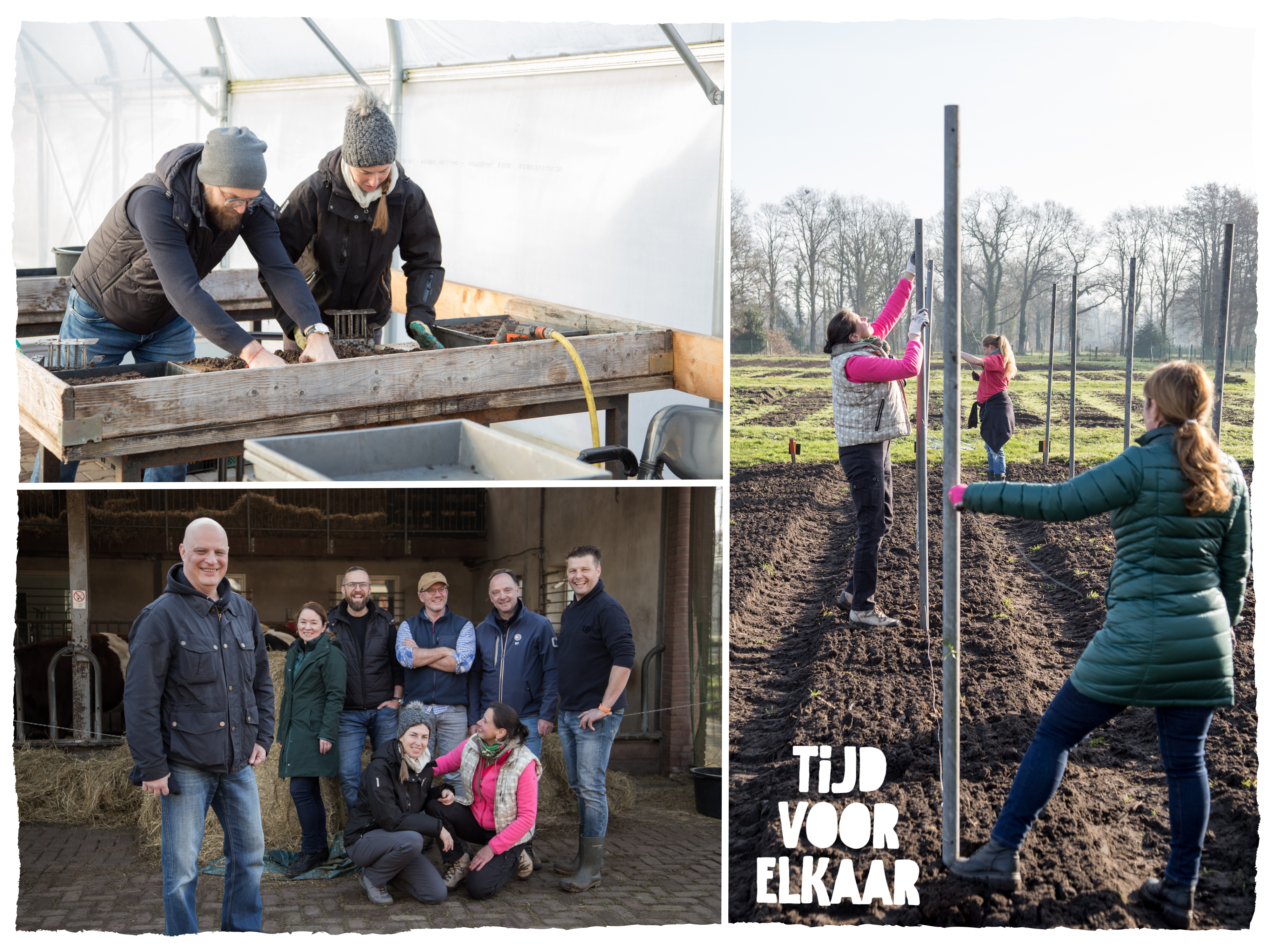 Gardening at care farm 'De Viermarken'